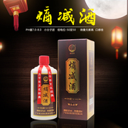 廣東南臺(tái)控股股份有限公司